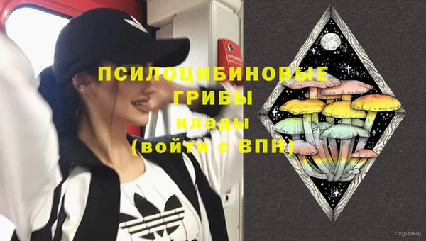 скорость Алзамай