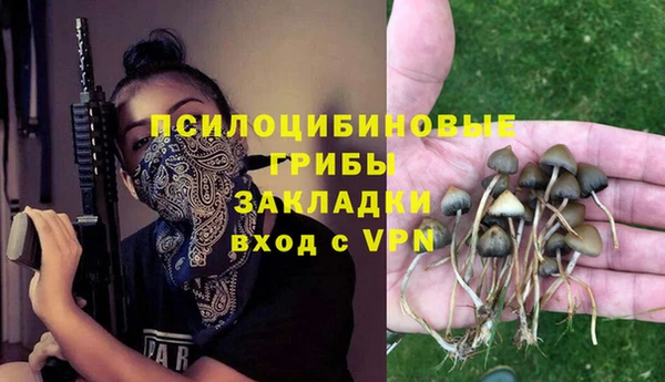 ALPHA PVP Алексеевка