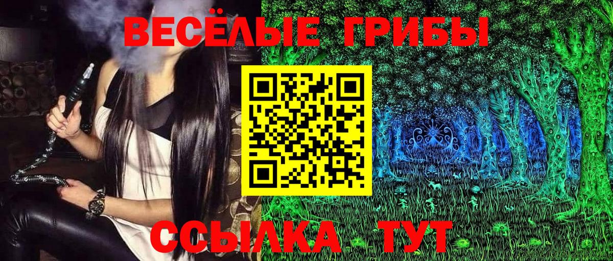 Псилоцибиновые грибы MAGIC MUSHROOMS  Вход с VPN  Тосно 