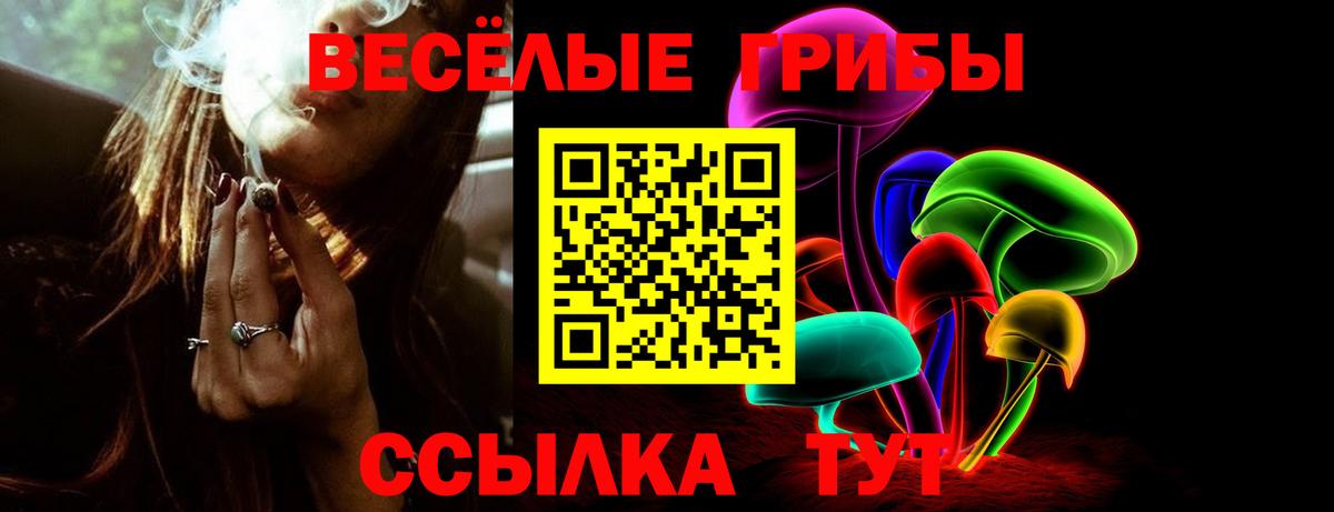 Псилоцибиновые грибы GOLDEN TEACHER Тосно